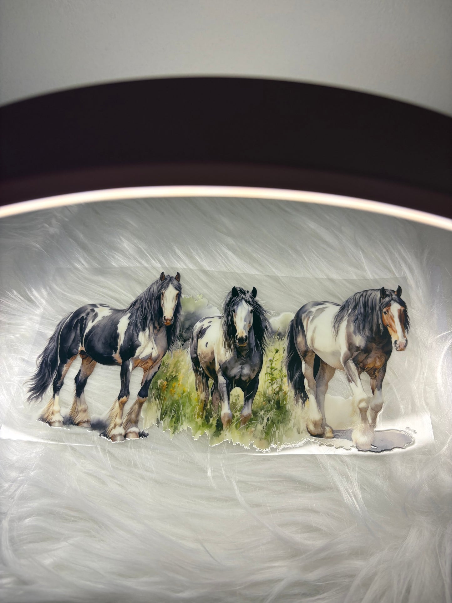 Horses